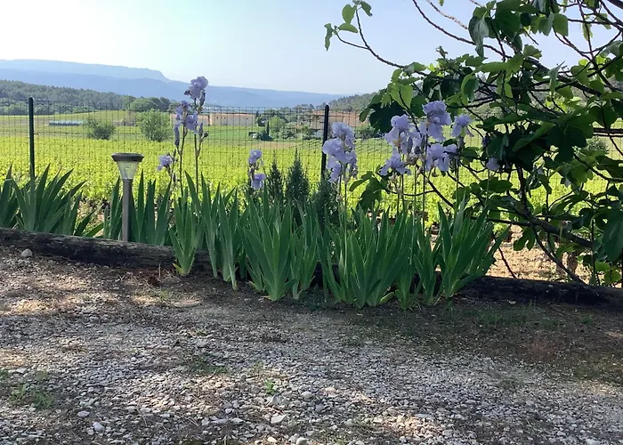 jardin d'antan
