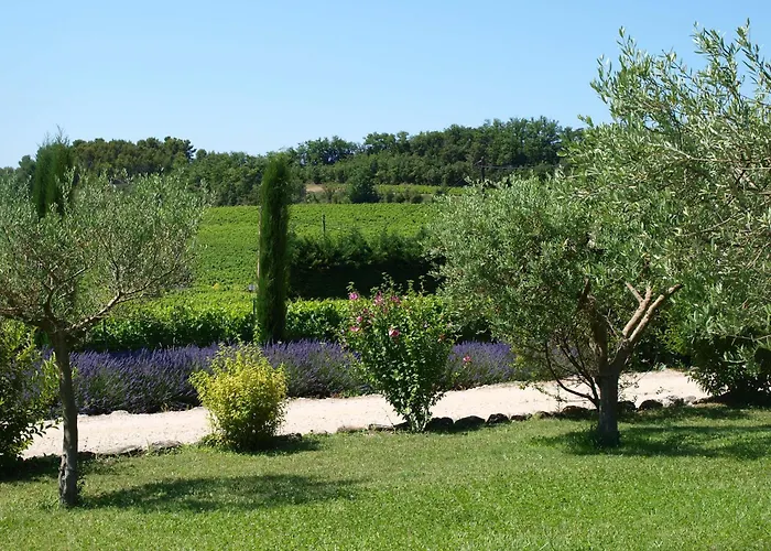 Hotel pres du College: jardin d'antan
